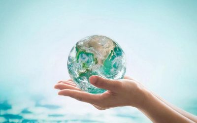 Comprendre le rôle du notaire en droit international